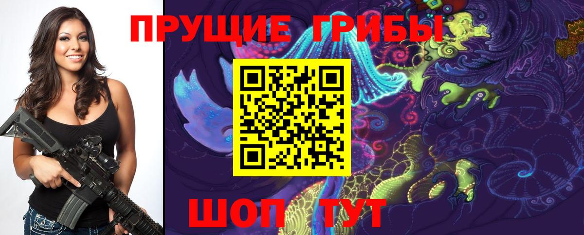 Ишим  Псилоцибиновые грибы MAGIC MUSHROOMS  Вход с VPN 
