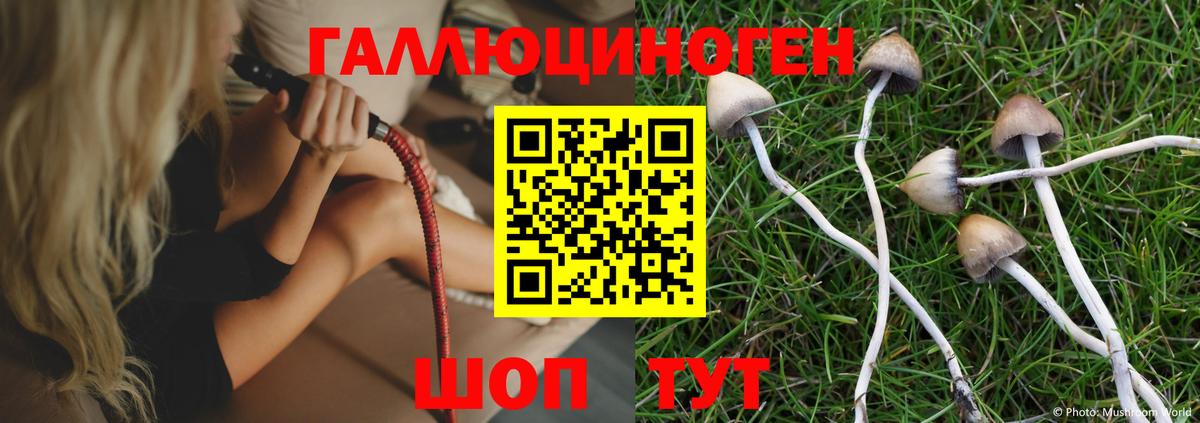Галлюциногенные грибы Magic Shrooms Ишим